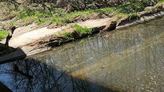 Walking Along The Kinnickinnic River [upl. by Hervey]