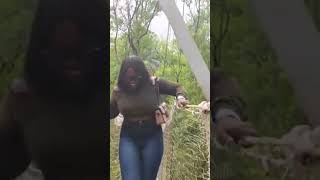 Longest canopy walk in Africa trending viralvideo youtubeshorts africa tamil [upl. by Rimas]