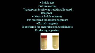 Biochemical test  IMViC test  culture media and reagents [upl. by Azrim]