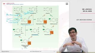 Farmacología Farmacología del sistema nervioso simpático [upl. by Carley]