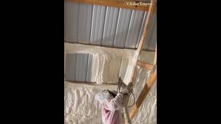 Spray foam insulation [upl. by Modestia14]