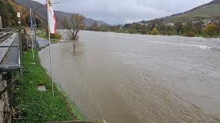 Hochwasser am 16112023 an der Mosel [upl. by Norra]