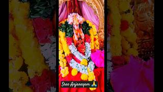 Anjaneyahomam🙏anjaneyaswamytemple homam pooja [upl. by Janicki]