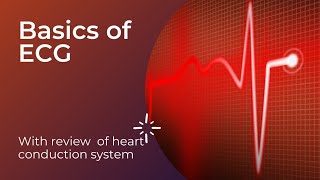 Basics of ECG in Urdu and Hindi [upl. by Dugas860]