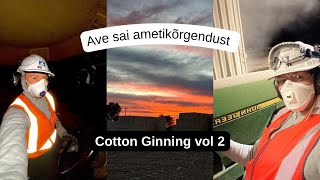 Vlog 52  UUED SEIKLUSED COTTONIS [upl. by Dallis]