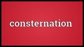 Consternation Meaning [upl. by Rowland689]