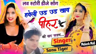 17 November 2024 New Song 👉 Haveli Ud Ud Khave Pehar Ki Yaad Satave  Sonu Tiger Shyalawas [upl. by Divadleahcim175]