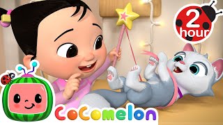 Kitty Cat Song  Ballerina Dance  MORE CoComelon Nursery Rhymes amp Cat Songs [upl. by Goodrich172]