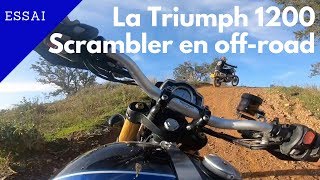 Session offroad pour la nouvelle Triumph 1200 Scrambler [upl. by Goeger]