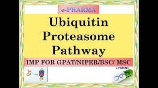 UbiquitIn proteasome pathway protein dedradation IMP FOR GPAT NIPER DI Pharmacist BSC MSC [upl. by Gaddi]