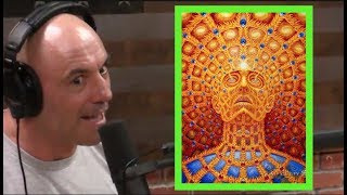 Joe Rogans DMT Experiences [upl. by Lorianna]