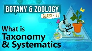 What is Taxonomy and Systematics  Diversity in Organisms  Biology Class 11 [upl. by Routh]