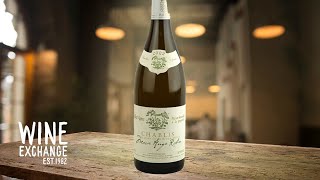 Incredible OldVine Chablis at an Equally Incredible Price [upl. by Emmey]