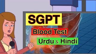 SGPT Blood Test in Urdu  Hindi  SGPT kia hota hai  SGPT Test in Urdu  Hindi [upl. by Aronel]