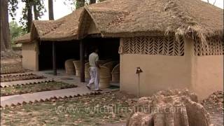 Kutcha hut in rural Rajasthan Jaisalmer [upl. by Anuahsed127]