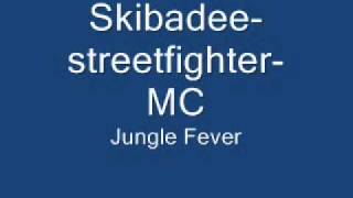 SkibadeestreetfighterMC [upl. by Madaras]