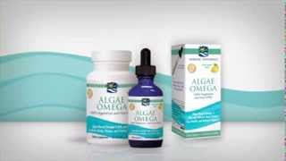 Nordic Naturals Algae Omega [upl. by Della694]