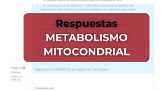 Todo Sobre el Metabolismo Mitocondrial [upl. by Elohcin862]