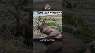 SEVR Broadheads  Customer Success  Elk 2024 [upl. by Keeler504]