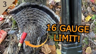 Hunting With a 70 Year Old 16 GAUGE Shotgun  GROUSE HUNTING [upl. by Golub]