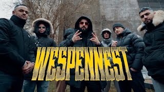 AK 33  Wespennest prod by ThankYouKid amp Jazouli [upl. by Driskill]