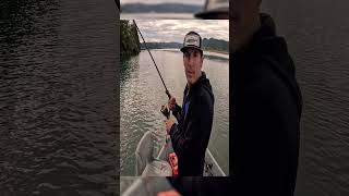 salmon on the fly  can we hit 420 subs today [upl. by Amikehs]