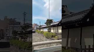 Kyoto Japan June 2024🇯🇵🚍🛕🤩Nishi Honganji Buddhist TempleSightsseen busExploring the City🇯🇵🚍🛕🤩 [upl. by Ehcrop650]