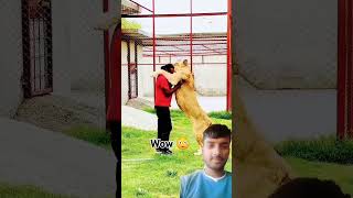 Wow 😯 dog dog doglover animals lion love song music bollywood hindisong bollywoodsongs [upl. by Martinez]