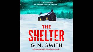 The Shelter A completely heartracing and unputdownable crime novel by GN Smith [upl. by Ashlan]