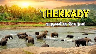 Thekkady Kerala  Things to do in Thekkady  Exploring Kerala [upl. by Vidda]