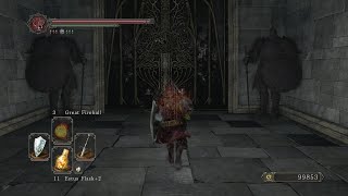 Dark Souls 2  Final boss location where to find Throne of Want [upl. by Nirag]