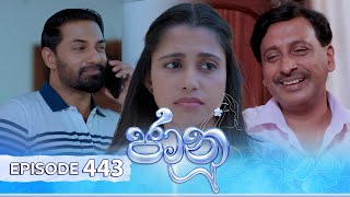 Jaanu  Episode 443  20241105  ITN [upl. by Goldy447]