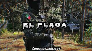 Revolver Cannabi  El Plaga 2022 Corridos [upl. by Bonucci]