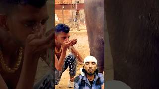 सलामुद्दीन भाई भैंस का मूत्र पी रहे हैं🥱 shorts funny comedy camel animals viralvideo [upl. by Nyladnek]