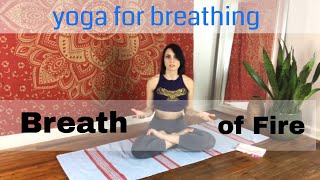 Breath of Fire breathing exercise Beginner or Half speed kapalabhati pranayama [upl. by Raybourne]