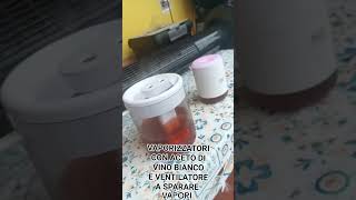 UMIDIFICATORE VAPORIZZATORE CON ACETO DI VINO BIANCO E UN VENTILATORE A SPARARE I VAPORI [upl. by Ilyse]