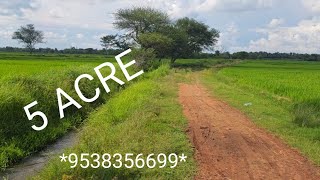 Pt5 ACRE  METICULOUSLY DESIGNED BY NATURE  CANAL WATER SOURCE  PADDY CULTIVATING LAND9538356699 [upl. by Akemrehs]