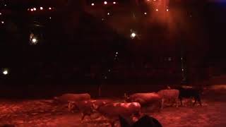 Buffalo Bills Wild West Show  Disneyland Paris [upl. by Mahla849]