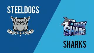 Bradfield Brewery Sheffield Steeldogs vs Solway Sharks 30th September 2023 [upl. by Dietsche49]