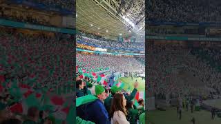 Festa da torcida Palmeiras x Corinthians palmeiras corinthians manchaverde futebol react [upl. by Warila112]