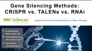 Gene Silencing Methods  CRISPR vs TALENs vs RNAi  siRNA  sgRNA  BOC Sciences [upl. by Atinauj]