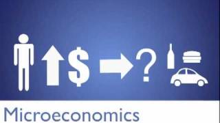 Micro Vs Macro Economics [upl. by Anirtek238]