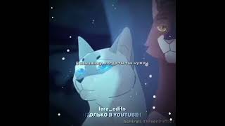 В комнате цветных пелеринwarrior cats editOakheart and Bluestar editwarriorcatseditкотывоители [upl. by Wylen368]