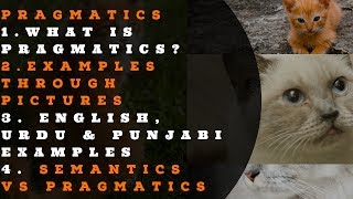 What Is Pragmatics  Semantics VS Pragmatics  English Urdu amp Punjabi Examples  Picture Examples [upl. by Trebor]