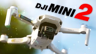 Best 4K Drone for the Money DJI Mini 2 Review [upl. by Aneeras]