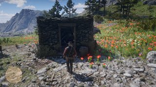 Unlimited Money and Items Glitches that still work in 2024  Red Dead Redemption 2 [upl. by Helsie266]