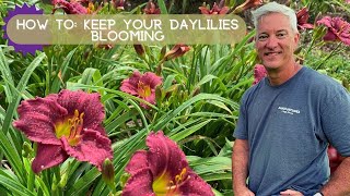 How to Keep Flowers Blooming  Oakes Daylilies [upl. by Sioled]