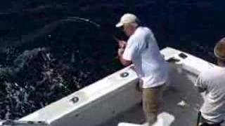 Amberjack Fishing Outer Banks North Carolina [upl. by Adlin]