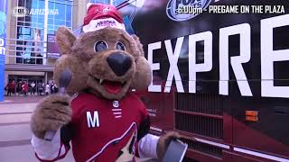 Arizona Coyotes mascot quotHowlerquot  A Day in the Life [upl. by Diver]