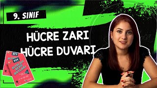 11 HÜCRE ZARI  HÜCRE DUVARI  9 SINIF  TYT BİYOLOJİ DERS NOTLARI  2024 [upl. by Donall]